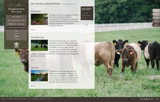 Descriptive page about the gardens and cows from the Fearrington Village website