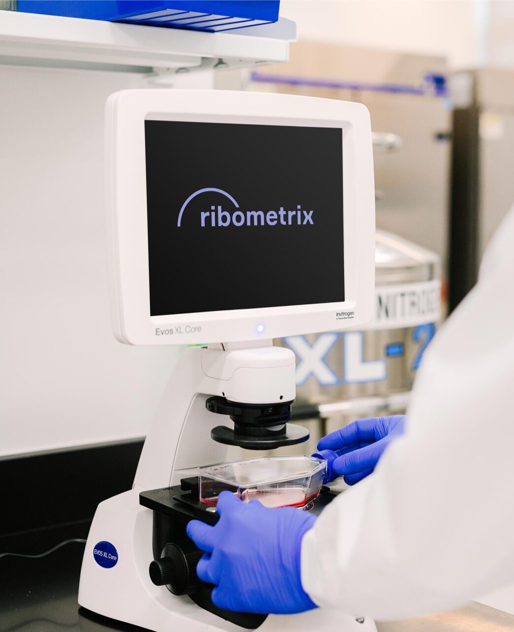 Ribometrix Lab